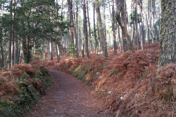 20141101_165430 20141101_165430