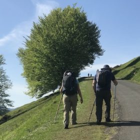 5f317da94deda15def3691f1 5f317da94deda15def3691f1