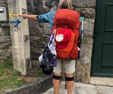 6afc0941-687e-4e82-94c5-a7615c25df53 6afc0941-687e-4e82-94c5-a7615c25df53