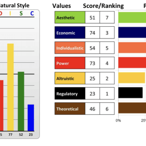 Combined DISC and Motivators