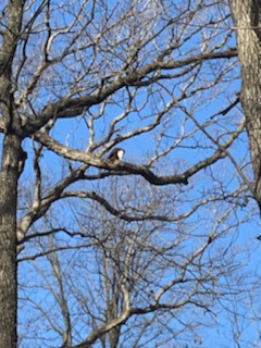 IMG_2617 IMG_2617