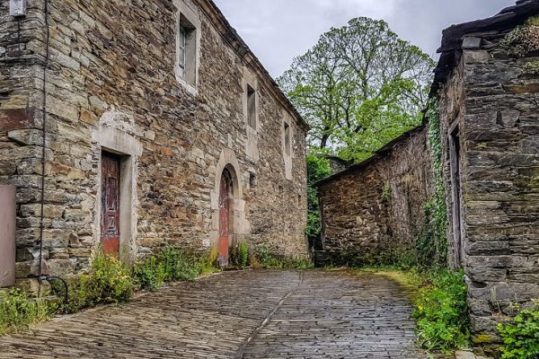 LindaEedesPhotography-151312 LindaEedesPhotography-151312