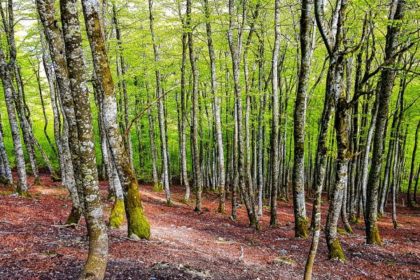 LindaEedesPhotography-172844