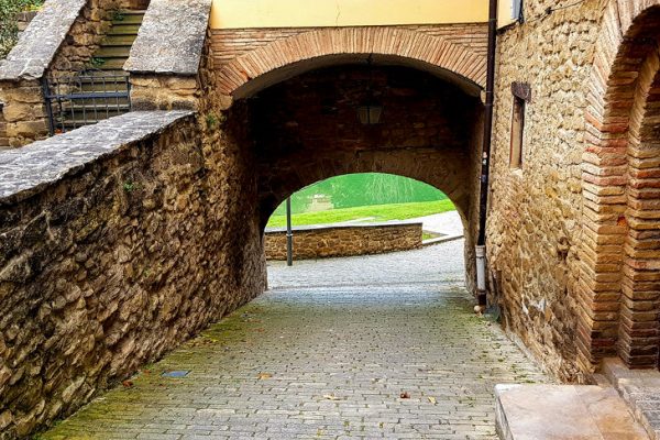 LindaEedesPhotography-174005