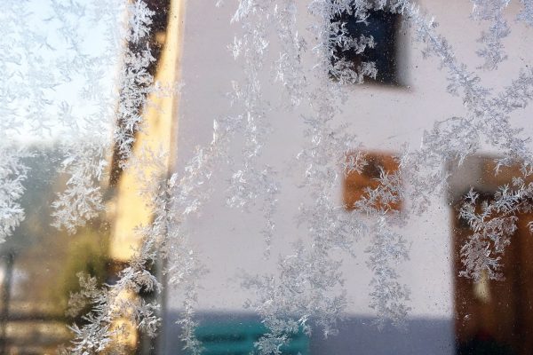 Winter card